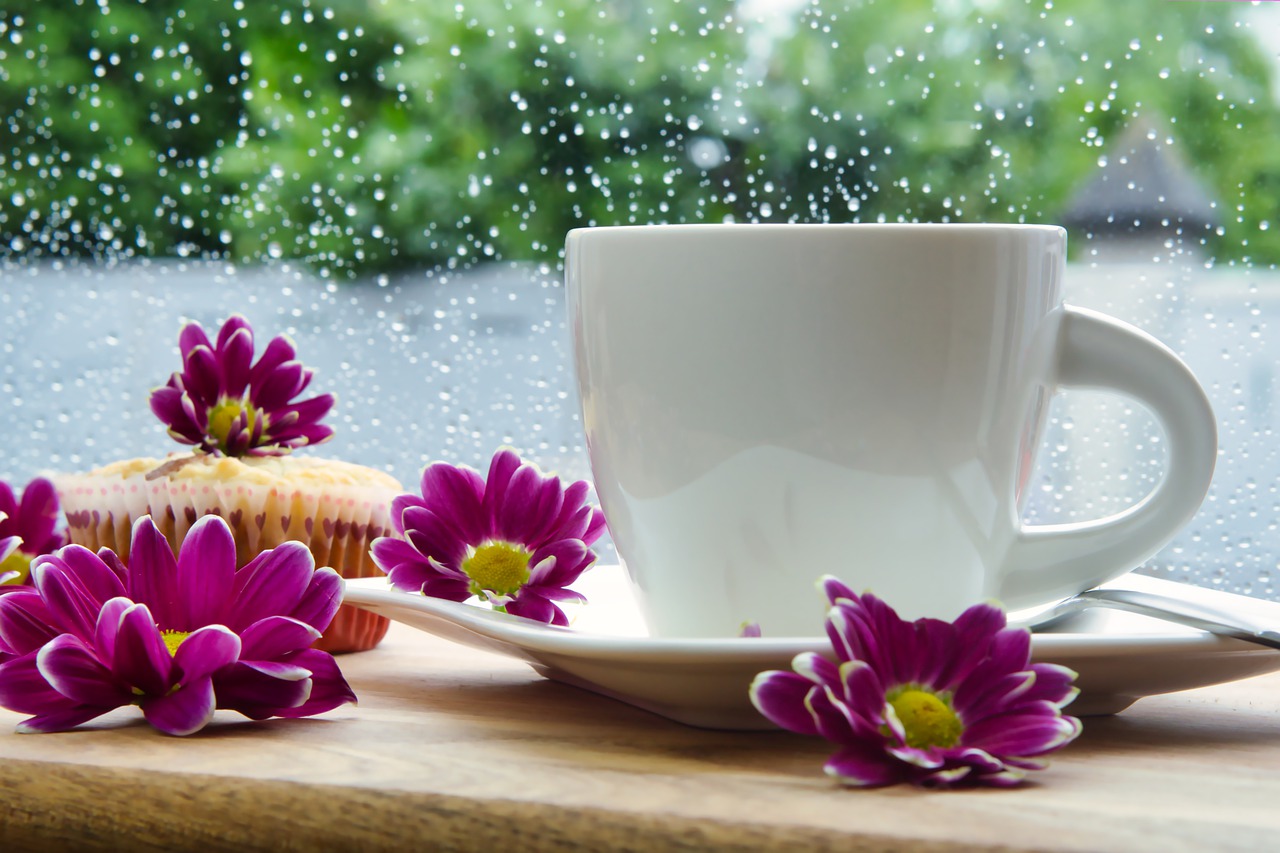 cup