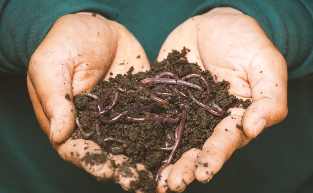 holding worms